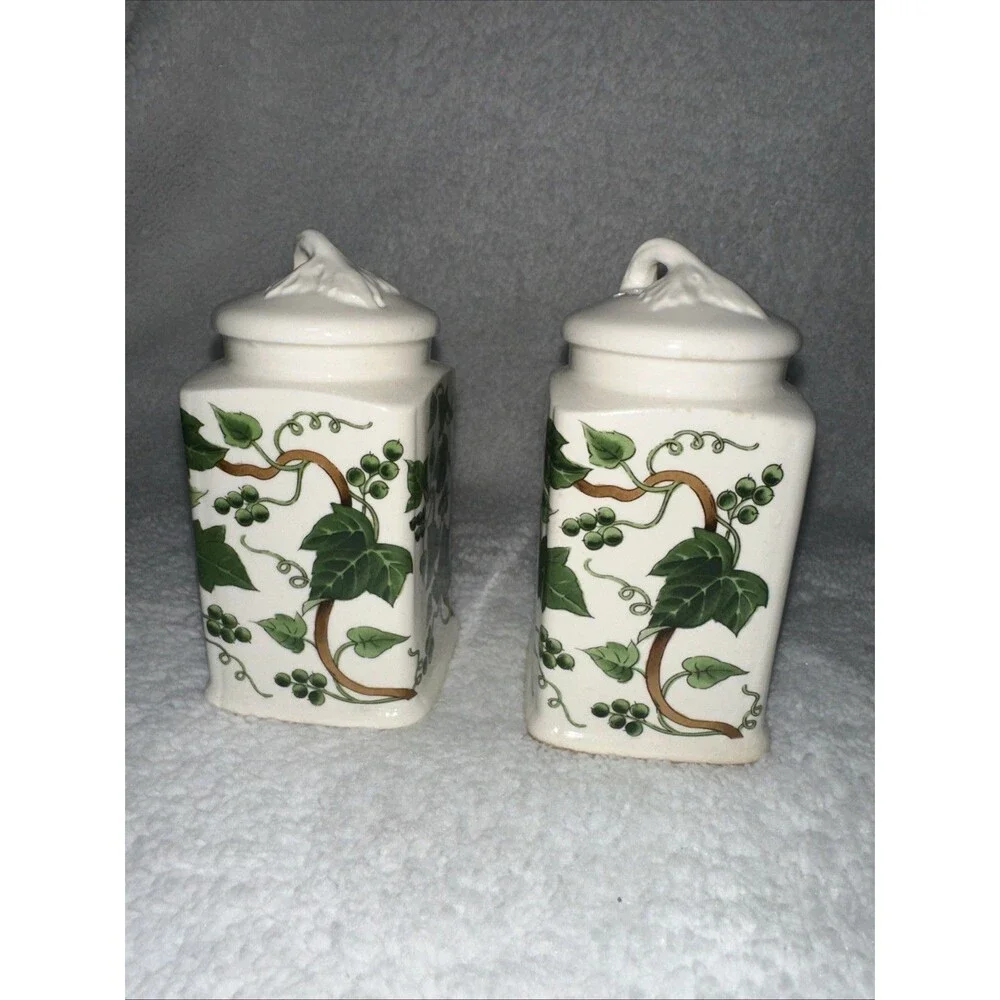 Ivy Ceramic Salt And Pepper Shaker Set Made In Japan